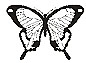butterfly.jpg (10339 byte)